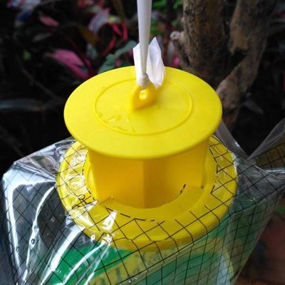 Настройка на заказ PVC мухоловка Fliegentasche клетка для борьбы с мухами в любой среде
